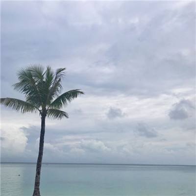 神仙很靠谱内购破解版下载