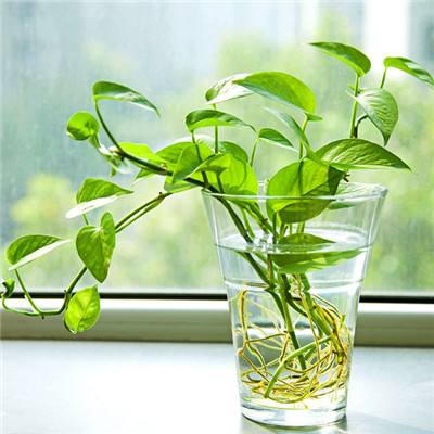老爹的小镇生活最新版下载